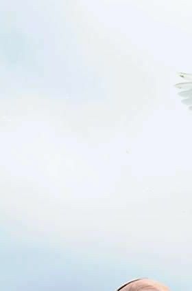 Papa Francesco - WordPress.com