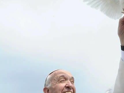 Papa Francesco, WordPress.com